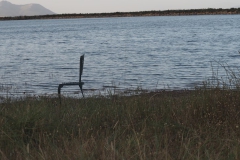bosch en dal#(20161116) landschappen