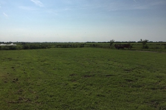 akker#(20190622) landschappen