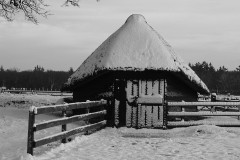 ginkelse heide#(20171209)a landschappen