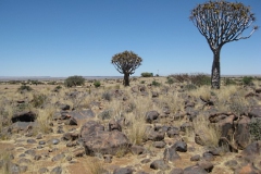 namibie#(20121126)a landschappen