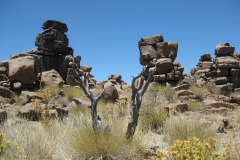 namibie#(20121126)b landschappen