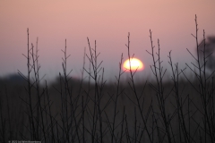 sunrise ginkelse heide#(20220306) landschappen