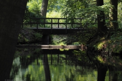 doorn#(20240607)b  landschappen