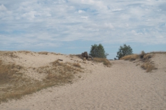 zand#(20210815)c landschappen