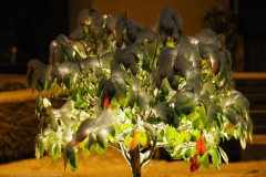 bomen#(20260105) bomen