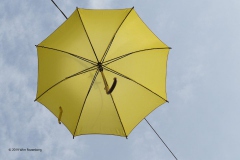 paraplu#(20190906) diversen