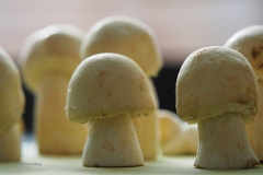 paddenstoel#(20200414) food