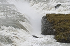 d10-urridafoss#(20220831) ijsland
