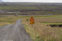 d01-landschap richting aldeyjarfoss#(20220822) ijsland