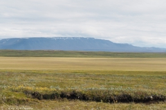 d01-richting aldeyjarfoss#(20220822) ijsland