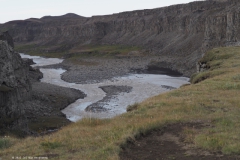 d01-dettifoss waterval#(20220822) ijsland
