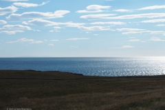 d05-arnastapi kliffen#(20220826) ijsland