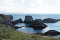 d05-arnastapi kliffen#(20220826) ijsland