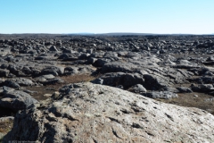 d14-landschap#(20220904)a