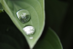 lelietjevandalen#(20190428)g lvd