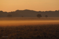 sunrise planken wambuis#(20190602)a landschappen