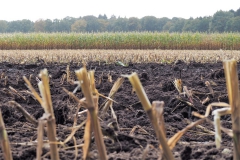 akker#(20171005) landschappen