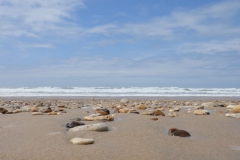 zand#(20140705) landschappen