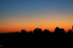 sunrise ginkelse heide#(20180505) landschappen