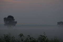 sunrise ginkelse heide#(20170829)b landschappen