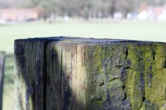 zuidginkel#(20180320)a  landschappen