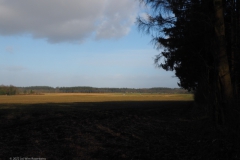 akker#(20220130)b landschappen