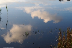 wolken#(20231117)