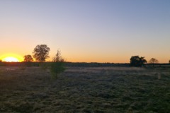 sunset edese hei#(20260501) landschappen