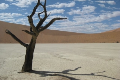 namibie#(20121130)d landschappen