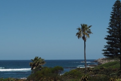 hermanus#(20161107) landschappen