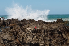 hermanus#(20161107) landschappen