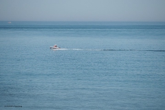 amelie#(20180713) landschappen