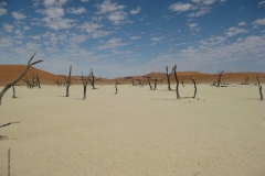 namibie#(20121130)c landschappen