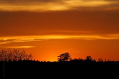 sunset ginkelse heide#(20190513) landschappen