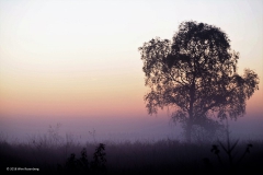sunrise ginkelse heide#(20181011) landschappen