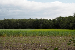 akker#(20190606) landschappen