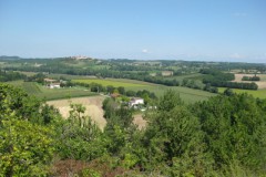 bladanel#(20110730)a landschappen