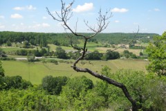 bladanel#(20110730)b landschappen