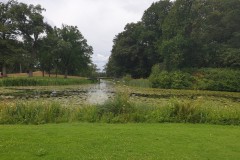 brummen#(20230714) landschappen