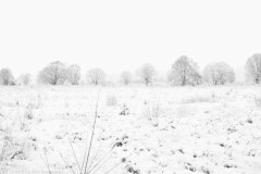 ginkelse heide#(20260103)a landschappen