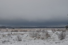 ginkelse heide#(20260103)c landschappen