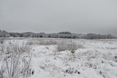 ginkelse heide#(20260103)b landschappen