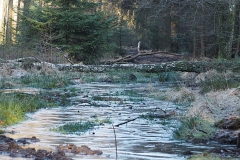 planken wambuis#(20180107) landschappen