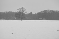 akker#(20260112) landschappen