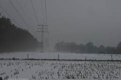 P1120017.jpg