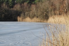 plas#(20260114) landschappen