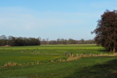 akker#(20260207)a landschappen