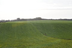 akker#(20260207)b landschappen