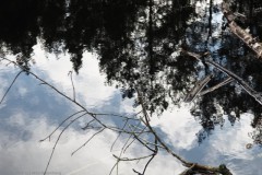 water#(20260214) landschappen