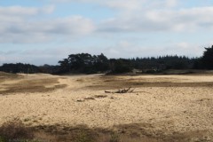 wekeromsezand#(20260214) landschappen